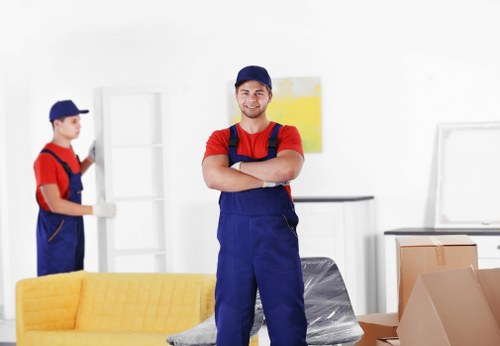 Professional removalist team handling household items